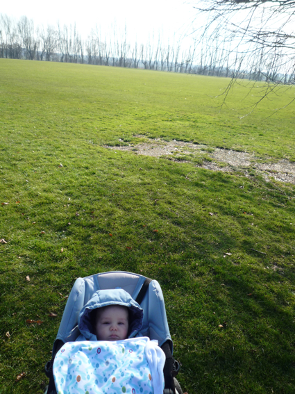 5 March walking 3.jpg